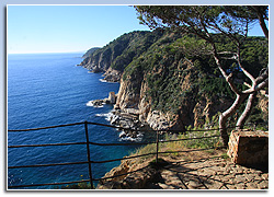 Tossa de Mar